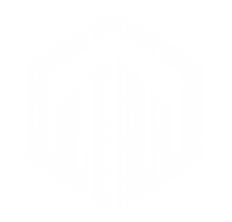 Safe Vanguard logo